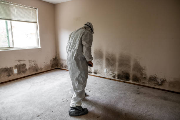 Best Crawl Space Mold Removal  in Burgaw, NC